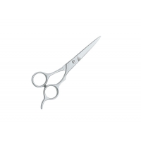 Barber & Dressing Scissors